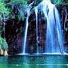 Awatar